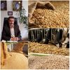  بیش از ۲۵۰۰ تن انواع نهاده دامی یارانه دار درشهرستان رودبار توزیع شده است 